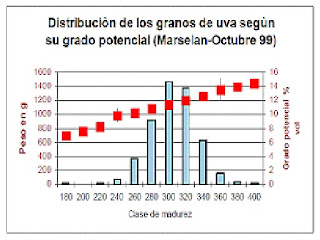 La depuración la persona de la gelatina del carbón activo