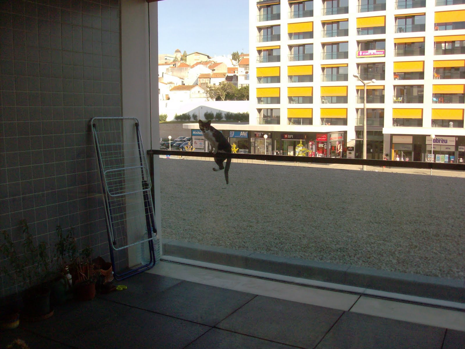 [HPIM0415.JPG]