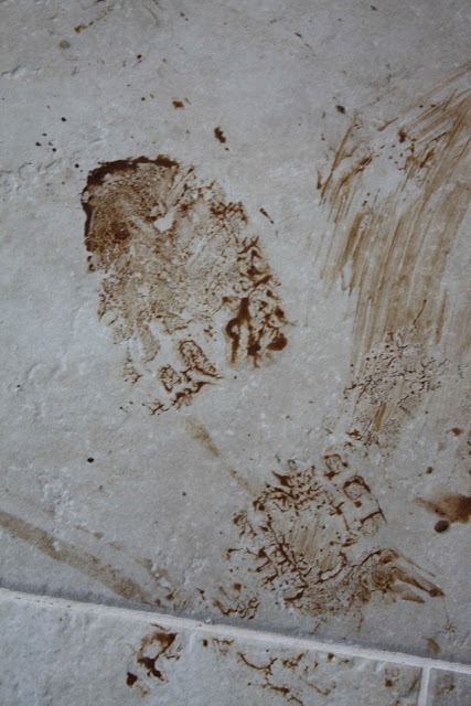 I balordi Anna The Nice