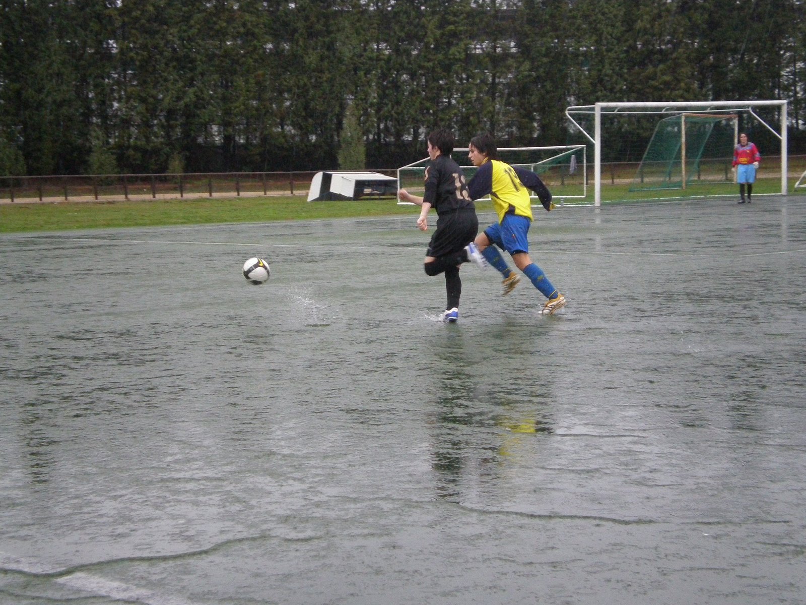 [P2010006.JPG]