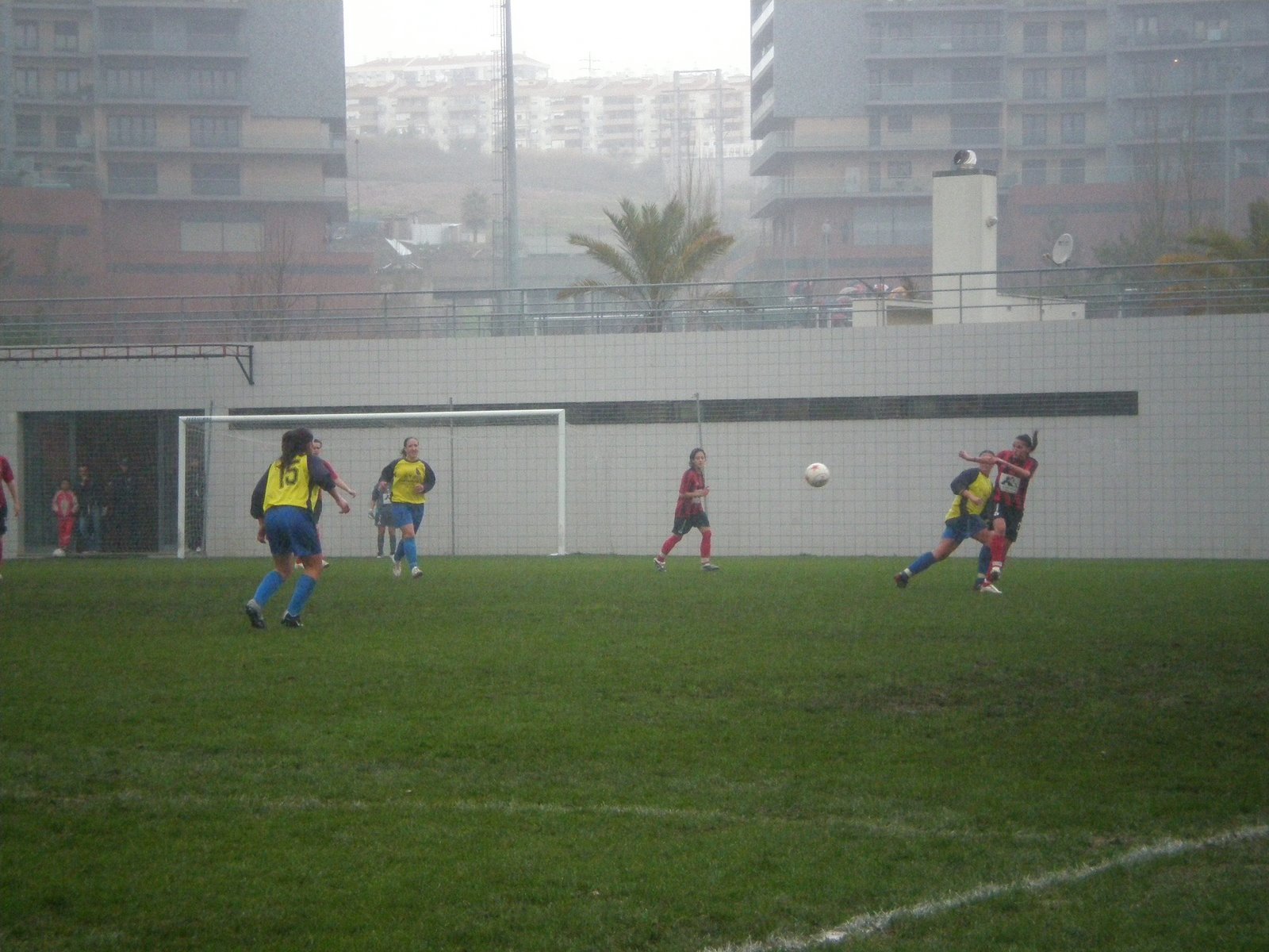 [P2080004.JPG]