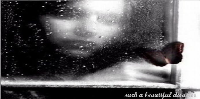 Beautiful Disaster