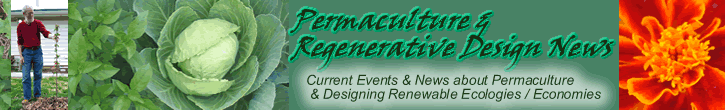 Permaculture & Regenerative Design News