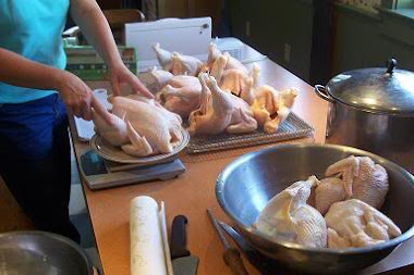 Learn How To Butcher Chickens