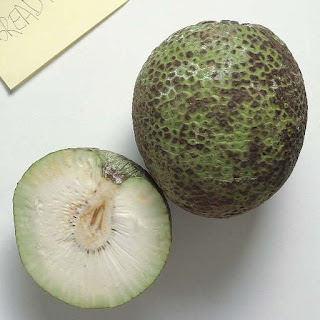 Where Can I Buy Breadfruit
