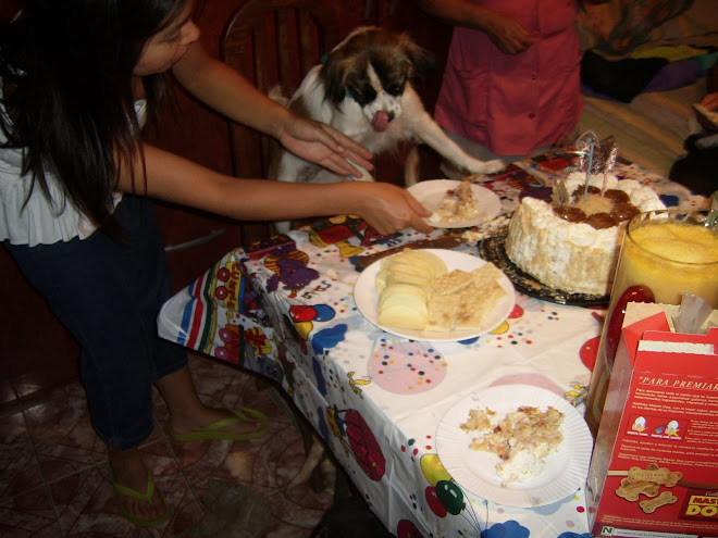 DOMINGA Y SU TORTA