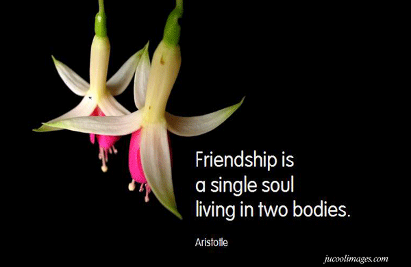 Quotes