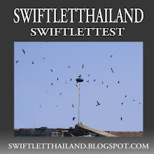 SWIFTLETTEST