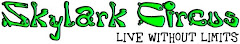 Visit the Skylark Website