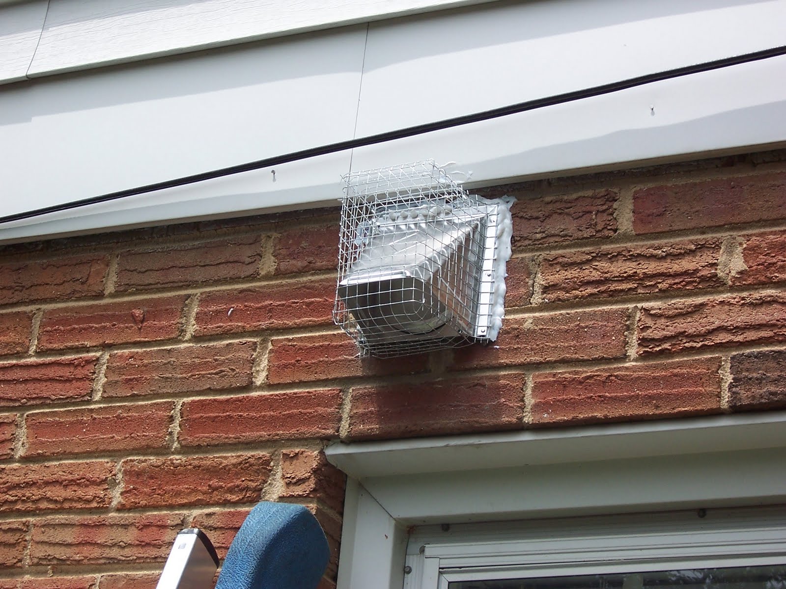 Animal Agent C.S.I. Squirrel Guard Cover