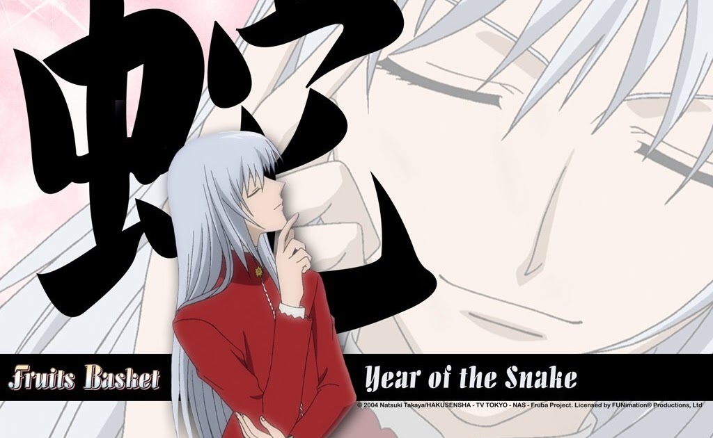 Atashi No Koe...: White Haired Anime Guys ~ Part One