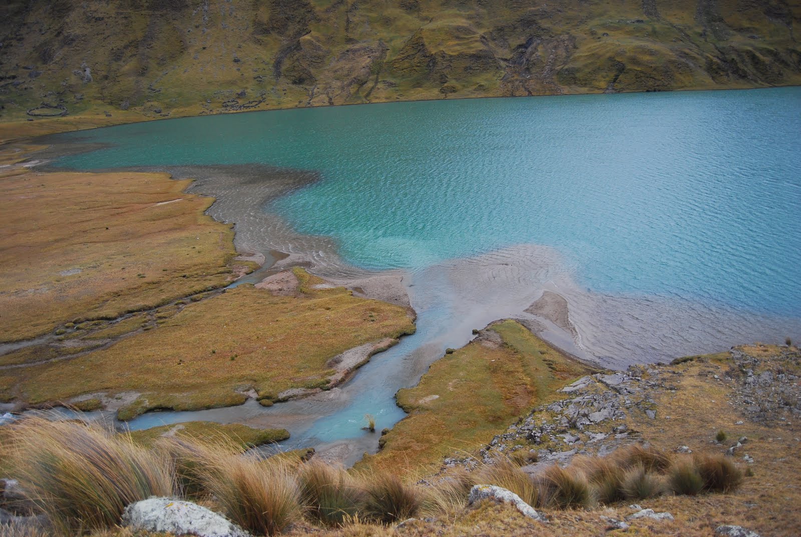 [Dia+2_Carguacocha+laguna.JPG]