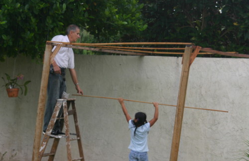 [sukkah1.JPG]