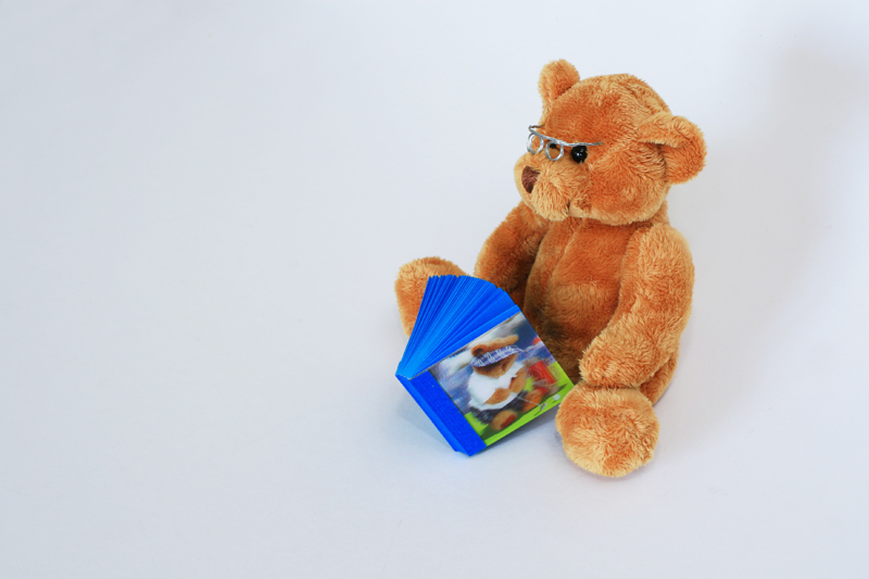 [teddy+bear+1.jpg]