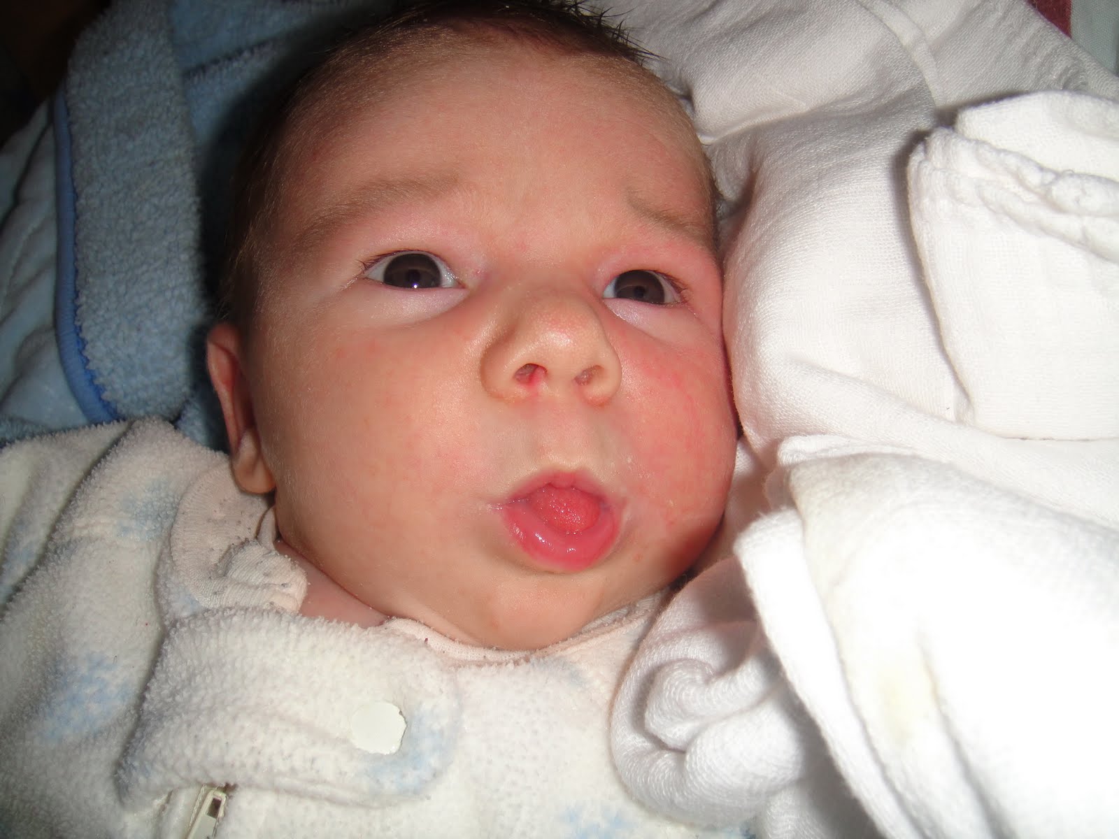 [DSC07129_resize.jpg]