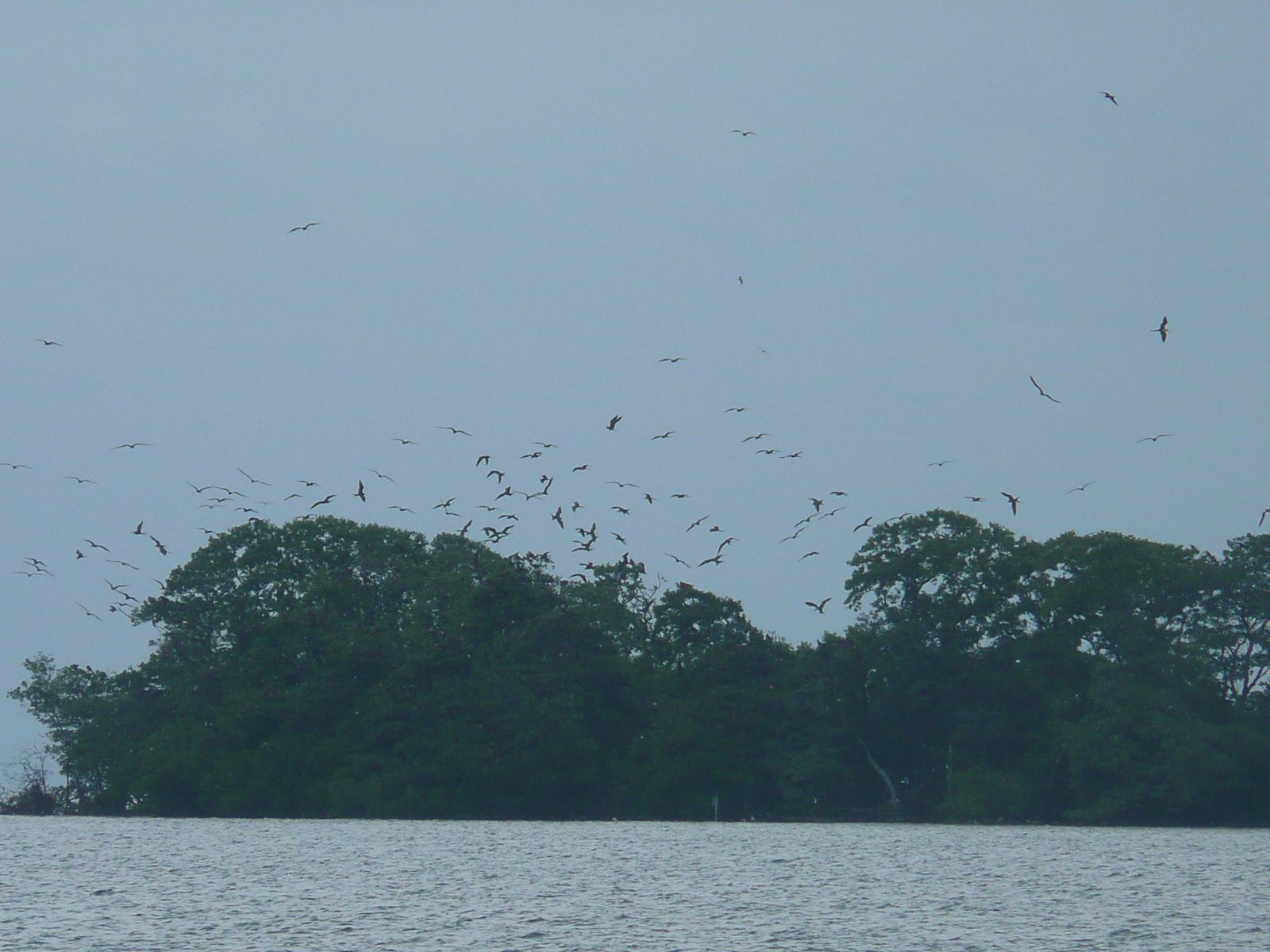 [Belize+Man+of+War+Cay.jpg]