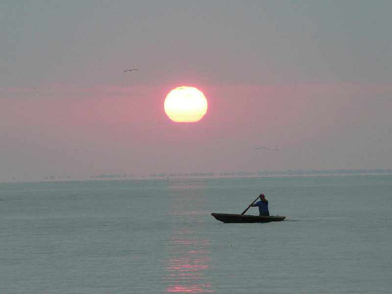 [cayuga+sunrise+Livingston+bar.jpg]