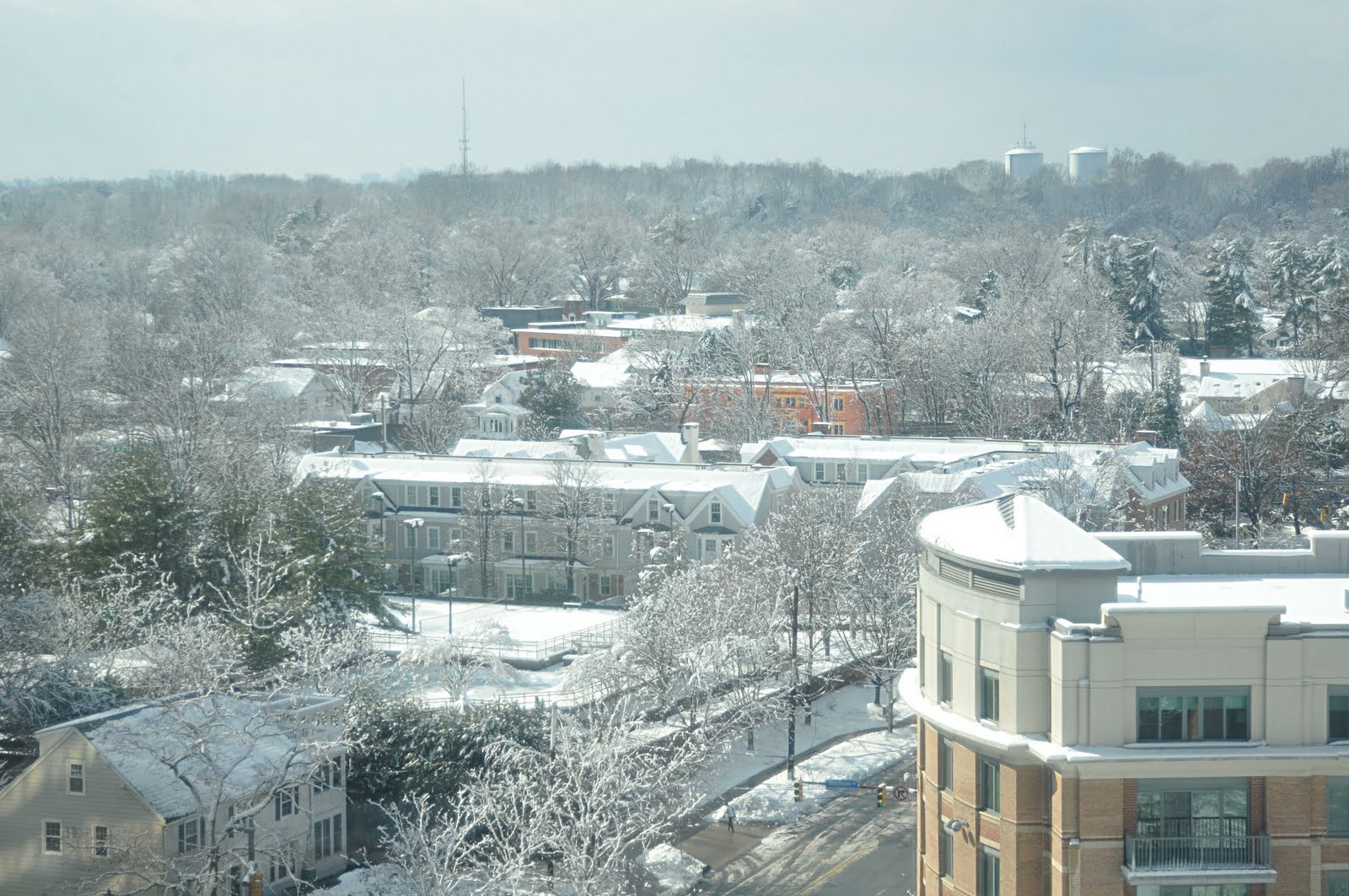 Sum Random Knowledge Midday in Bethesda, After the snow