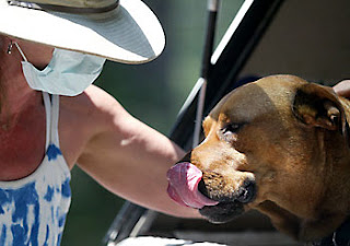 Cami dog with guardian/person, Virginia Beaudry, on July 14, 2008
