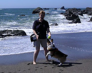 Dog-ma and Tilin Corgi at Bodega Bay