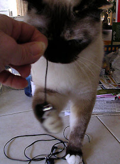 Ani really enjoyed the earbud game.