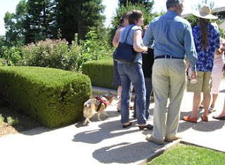 winecountrydog walking with wine bloggers
