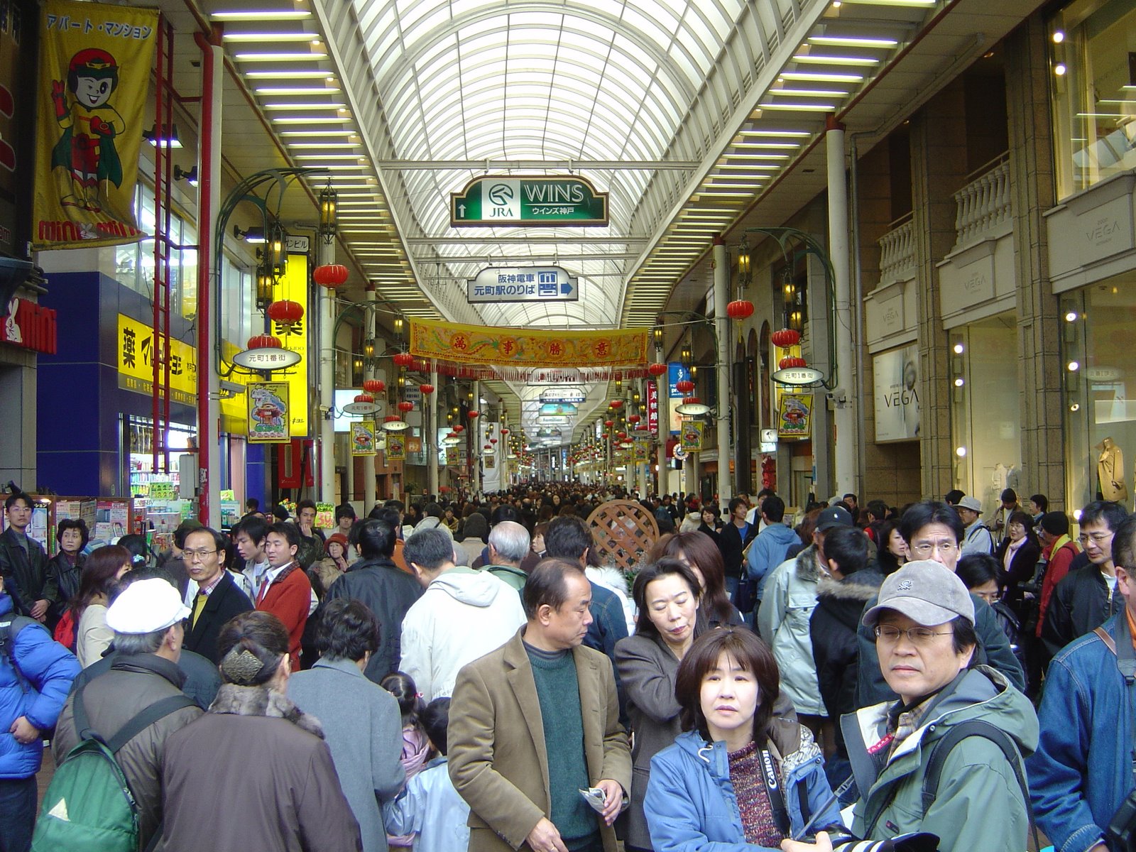 [DSC02482.JPG]