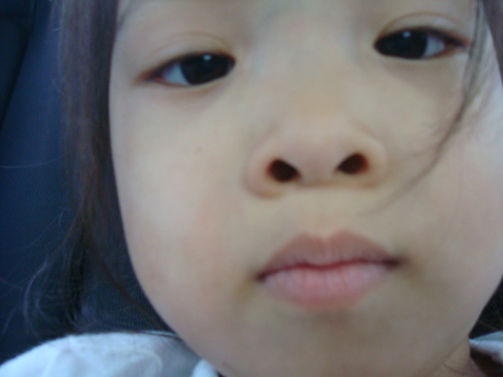 [DSC02082.JPG]