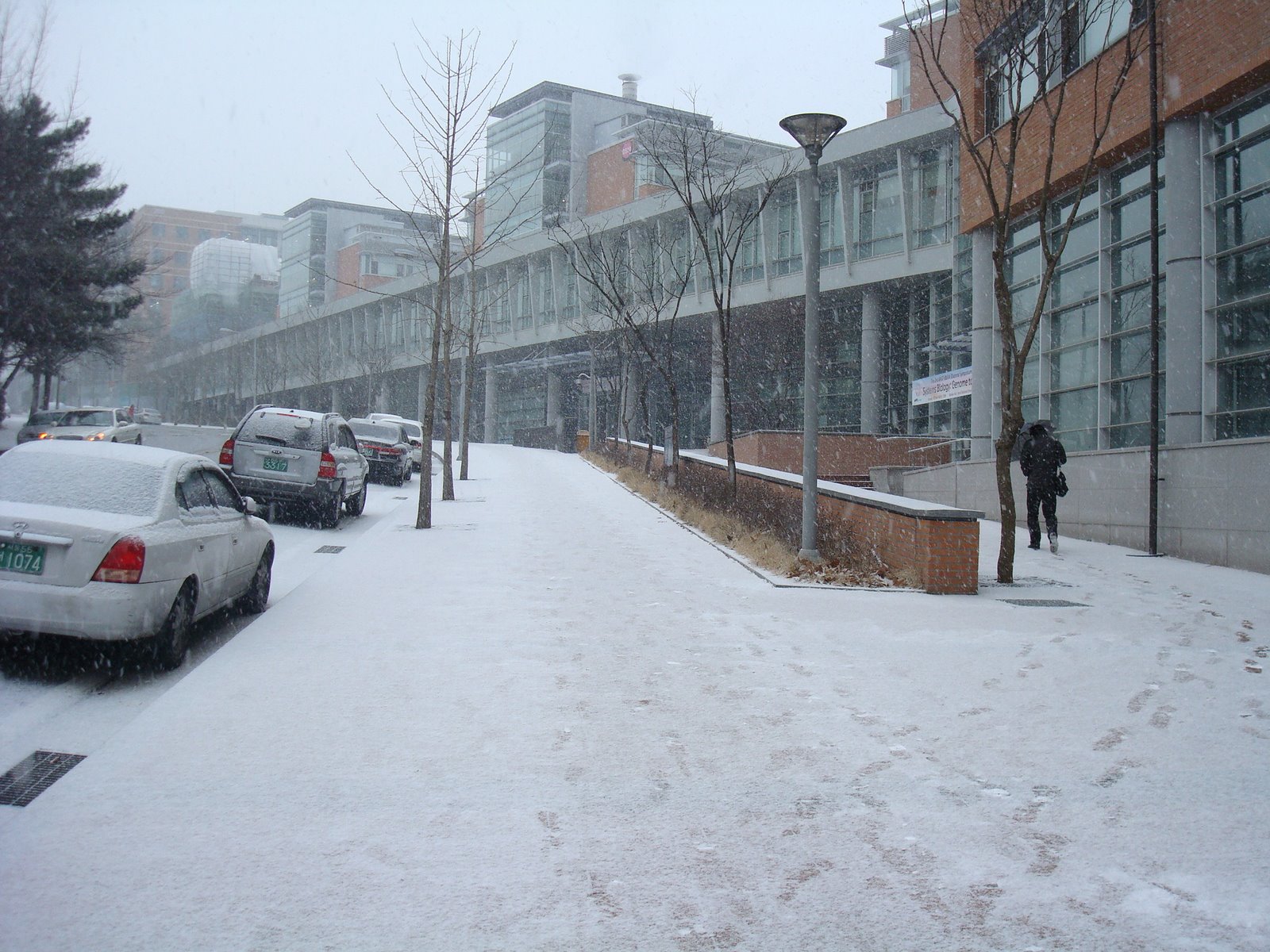 [DSC03021.JPG]