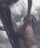[christ1-1.gif]