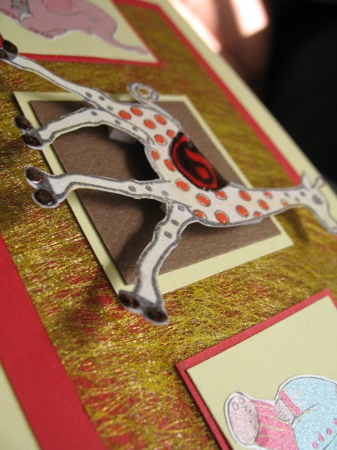 [Baby+animals+close-up+09+.JPG]