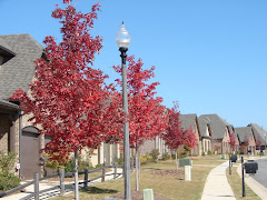 Fall Colors in Chalybe!