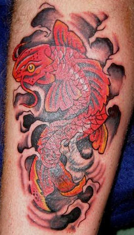 Red Koi Fish Tattoo Red Koi Fish Tattoo