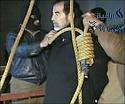 [saddam.jpg]