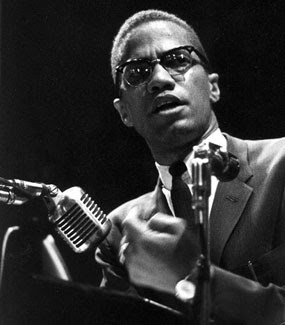 malcolm x malcolm x