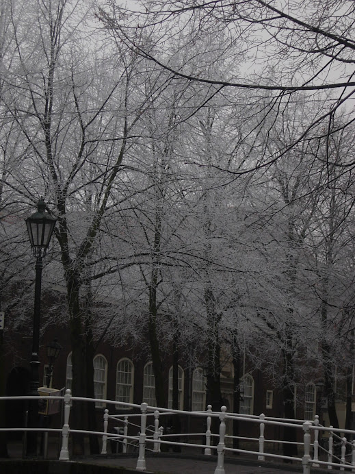 Invierno en Delft