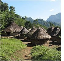 las drferentes culturas La cultura tayronas