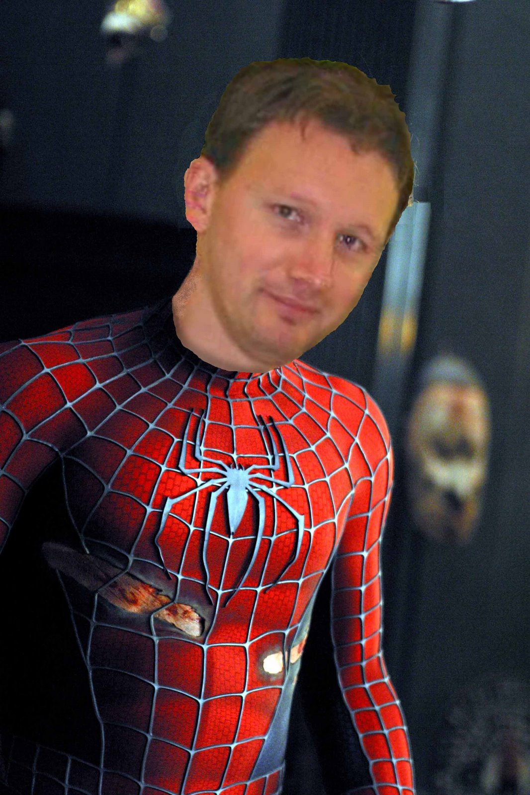 [Dom_Spiderman2.jpg]