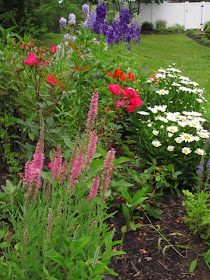 Gardening Obsession: June 2010