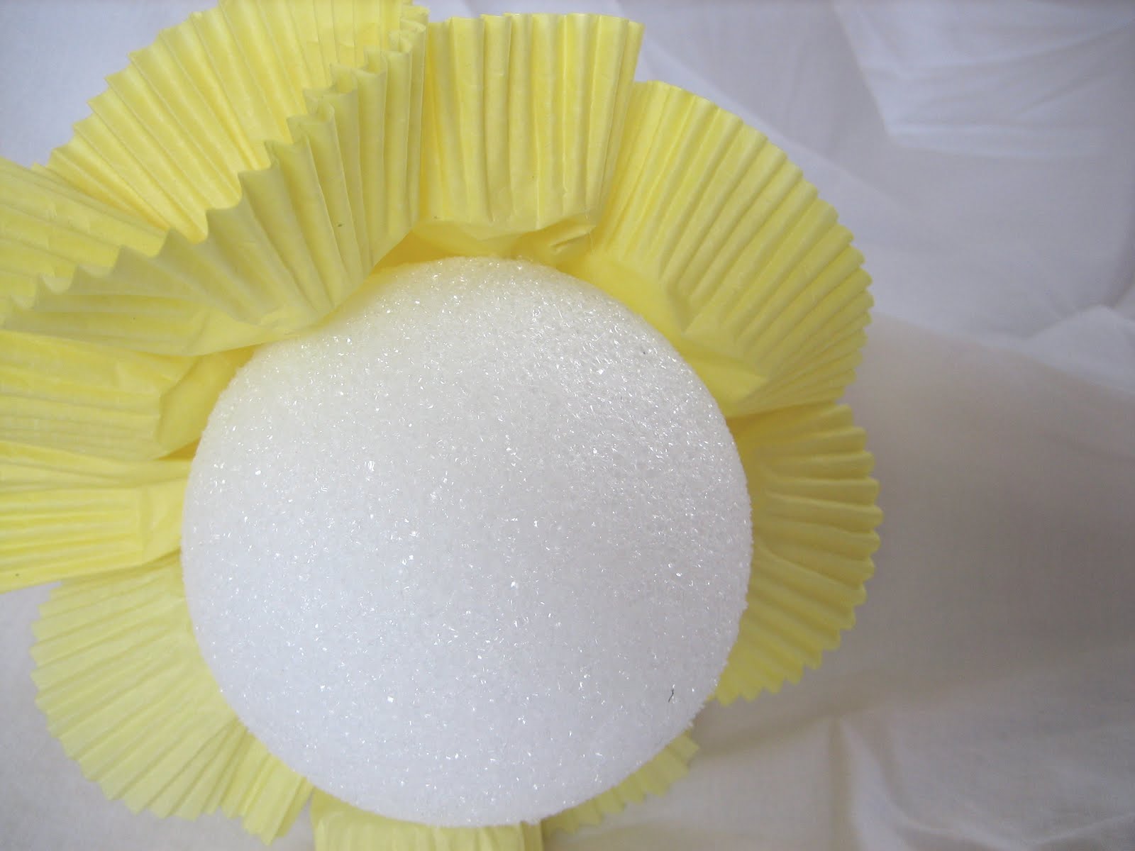 Pom Pom Cupcakes