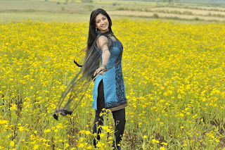 Poonam Kaur Photos In Nagavalli Movie