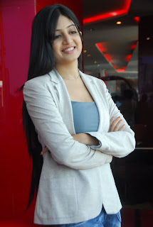 Poonam Kaur at Gaganam Trailer Launch