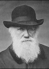 Darwin