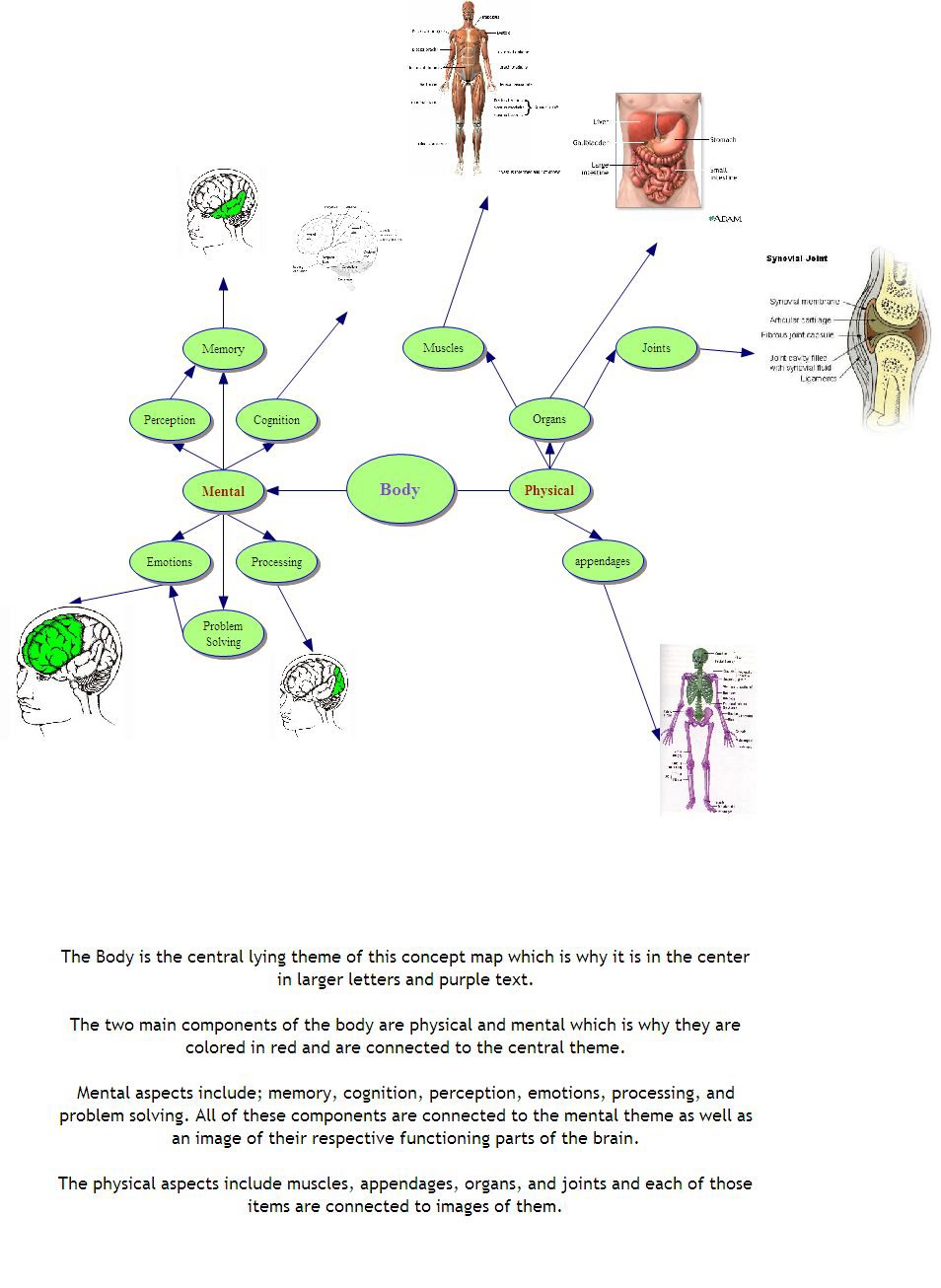Body Systems Concept Map Answer Key Map