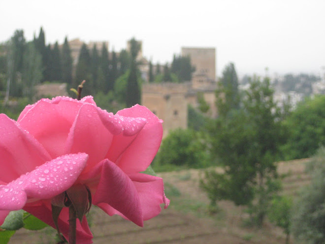 Rose at the Alhambra
