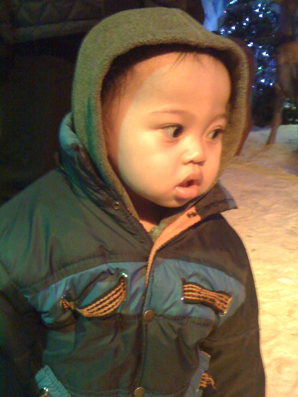 [IMG_0445.JPG]
