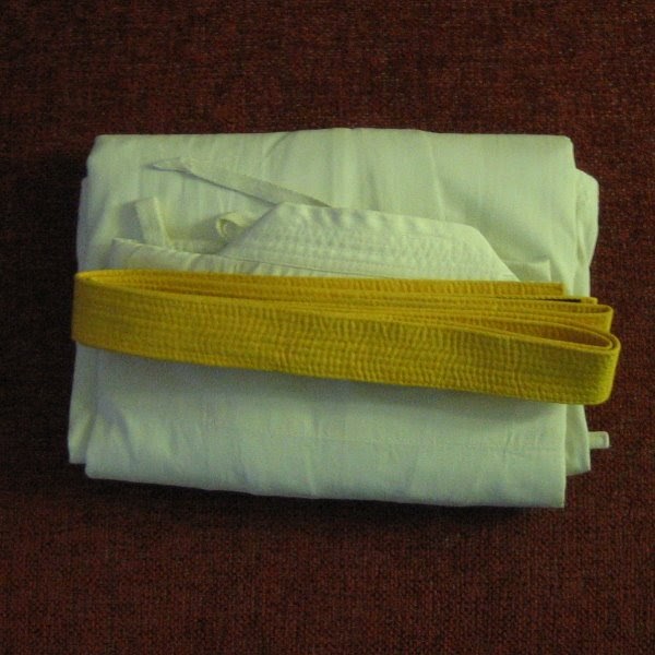 How to fold and iron your karategi