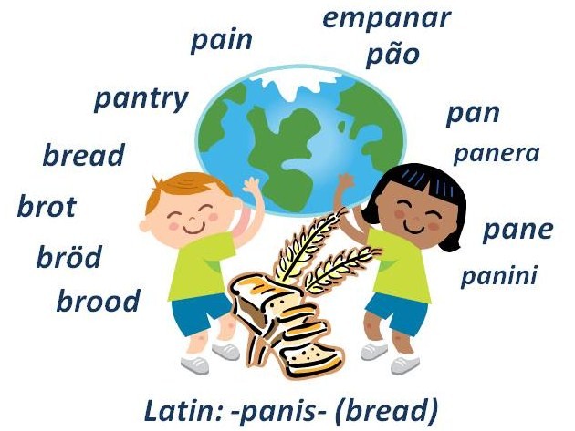 Cognates: Lesson Plans, Worksheets, Printables | Search PlanIt ... Cognates: Lesson Plans, Worksheets, Printables | Search PlanIt ...