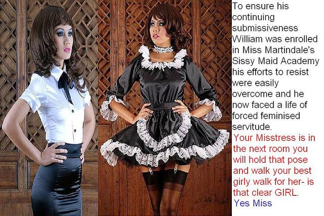 Literotica sensual feminization sissy maid