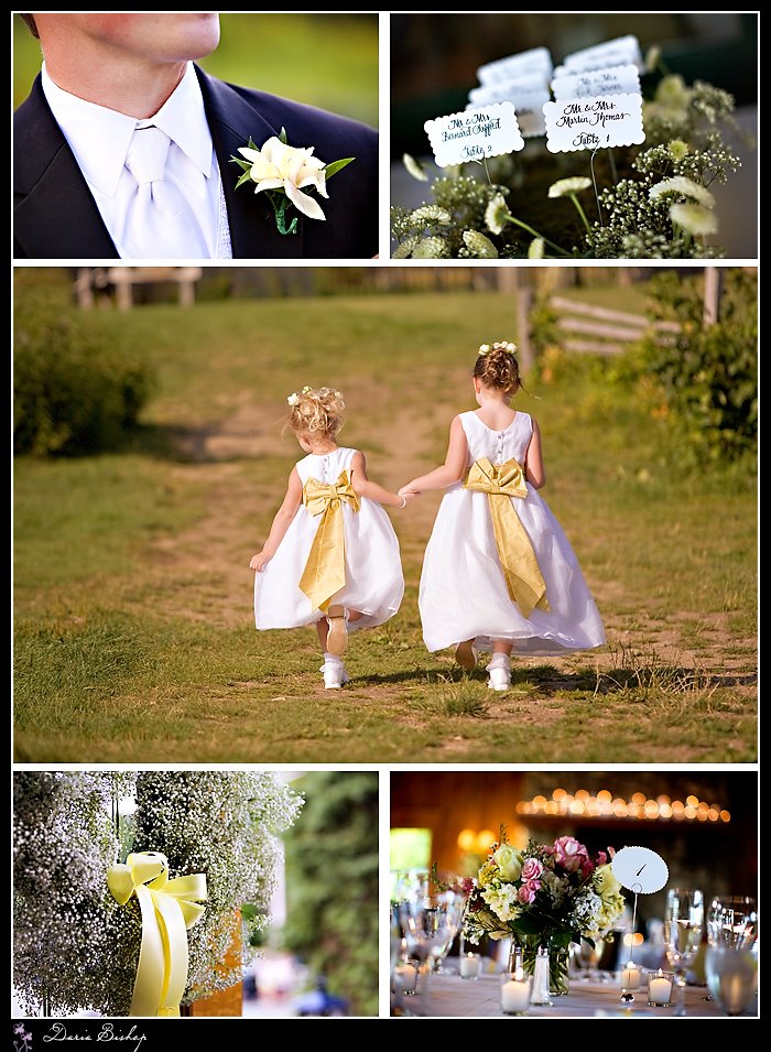 [yellow_wedding_details_2.jpg]